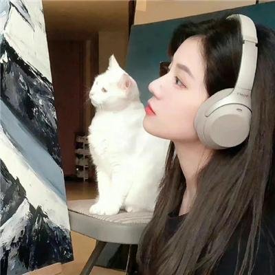大明星丽莎
