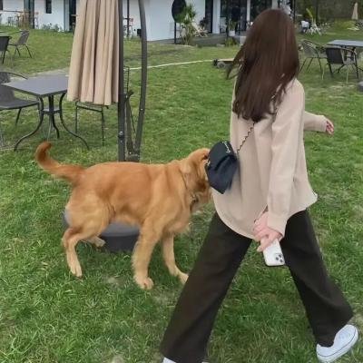 离线